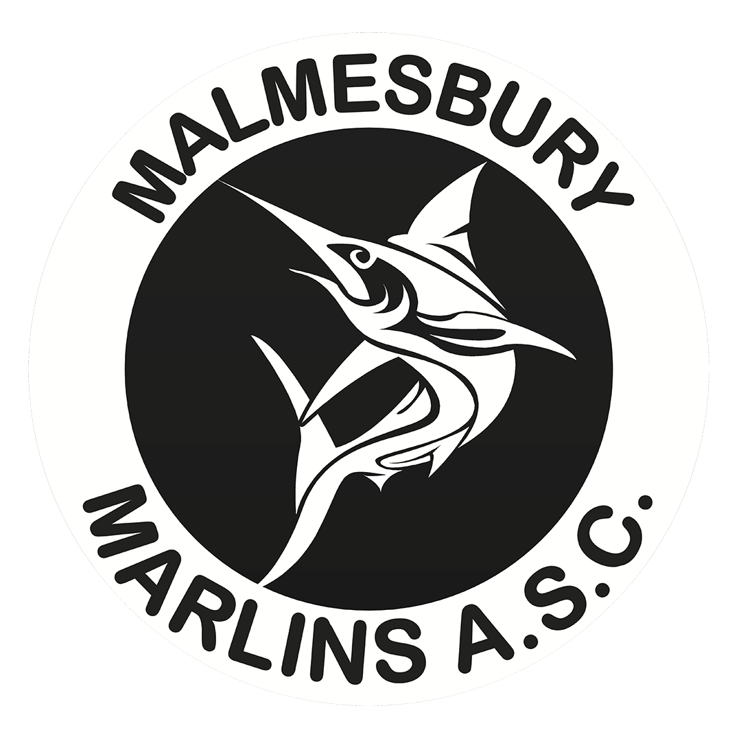 Marlins logo